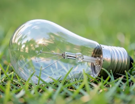 Lampadina sull'erba