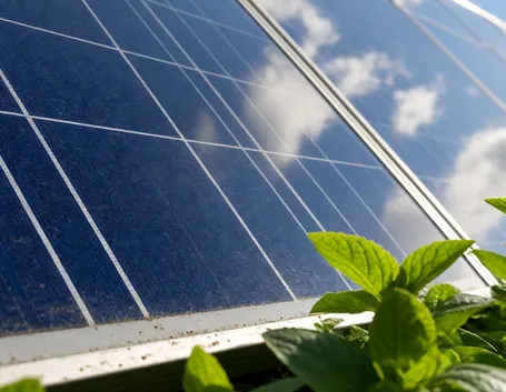 L'energia rinnovabile è la migliore scelta per te e per il pianeta!