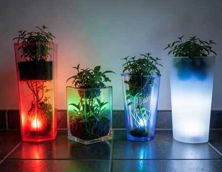 Vasi luminosi