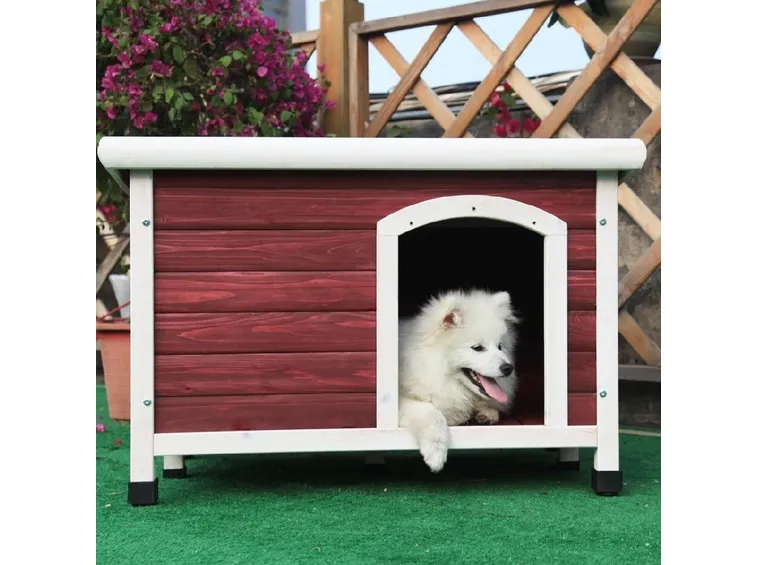 Casetta cani