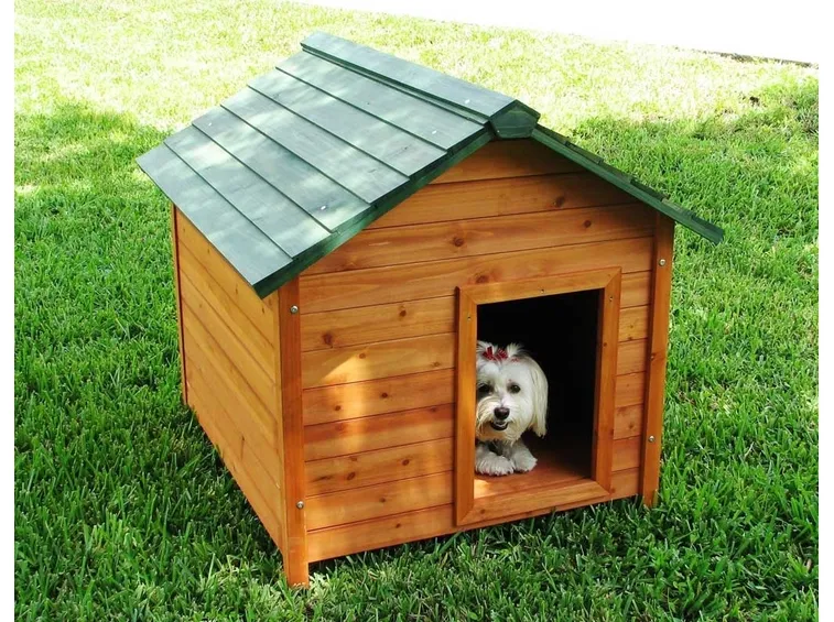 Cuccia cane