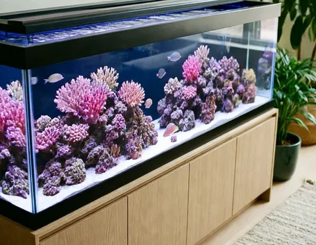 Acquario marino